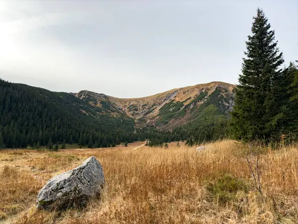 Kondratowa Vadisi, Tatra Dağları, Polonya 'dan dağ manzarası, engebeli tepeler ve yemyeşil vadiler.