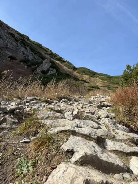 Giewont Dağı, Tatra Dağları, Polonya manzarası ve ikonik zirvesi ile ünlüdür.