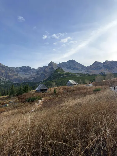 Hala Gosienicowa, Polonya 'nın Tatra Dağları' ndaki manzaralı bir çayırlık, çarpıcı zirveler ve yürüyüş patikalarıyla çevrili.