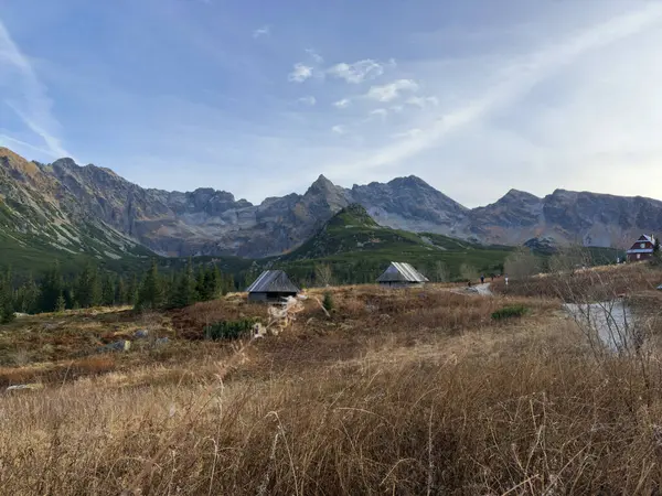 Hala Gosienicowa, Polonya 'nın Tatra Dağları' ndaki manzaralı bir çayırlık, çarpıcı zirveler ve yürüyüş patikalarıyla çevrili.