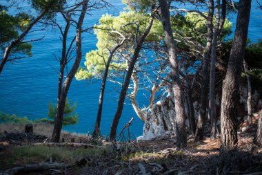 Kayalıklar ve gök mavisi deniz, Dalmaçya bölgesi, Makarska Riviera, Hırvatistan.