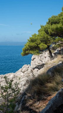 Kayalıklar ve gök mavisi deniz, Dalmaçya bölgesi, Makarska Riviera, Hırvatistan.