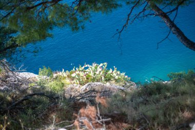 Kayalıklar ve gök mavisi deniz, Dalmaçya bölgesi, Makarska Riviera, Hırvatistan.