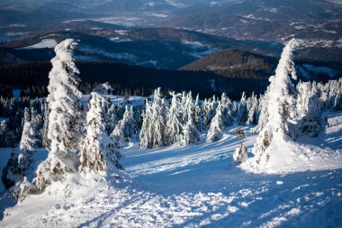 Slovenya ve Polonya sınırında yer alan Pilsko Kayak Merkezi, manzaralı bayır ve manzaralar sunuyor