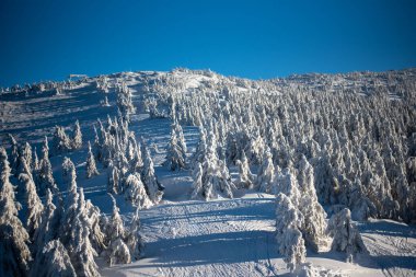 Pilsko Ski Resort, located on the border of Slovenia and Poland, offering scenic slopes and views clipart