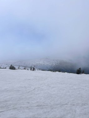Sniezne Koty, Karkonosze 'de karlı, sisli hava