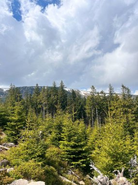 Mayıs 'ta Karkonosze tepeleri karla kaplandı