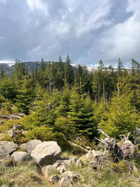 Mayıs 'ta Karkonosze tepeleri karla kaplandı