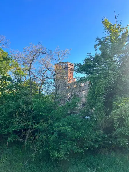 Aşağı Silezya, Polonya 'daki Swiny Castle harabeleri