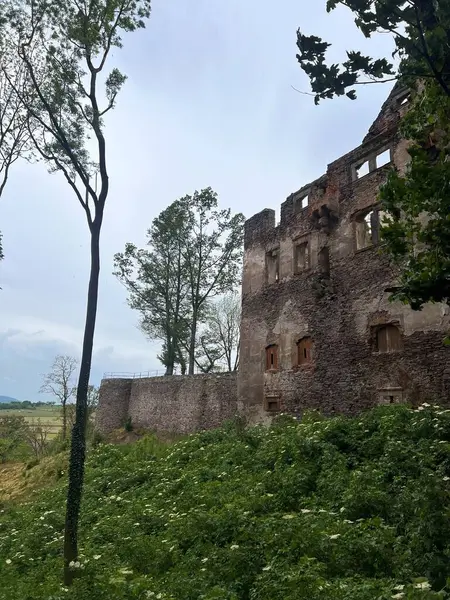 Aşağı Silezya, Polonya 'daki Swiny Castle harabeleri