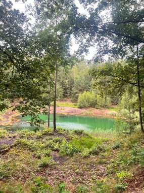 Leknica, Polonya 'da tenha yeşil gölet, huzurlu ve manzaralı.