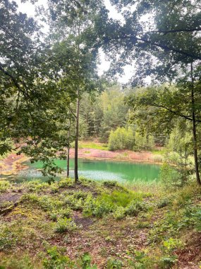 Leknica, Polonya 'da tenha yeşil gölet, huzurlu ve manzaralı.