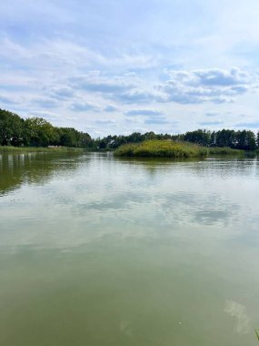 Polonya 'daki Milicz Gölü, doğal olarak sakin sular.