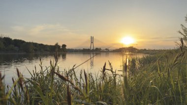 Oder, Wroclaw üzerinde modern kablo destekli köprü