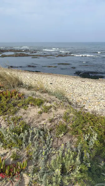 Portekiz Atlantik Kıyı Çizgisi Panoramik Görünümü