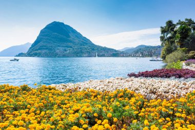 İsviçre, Lugano Gölü kıyısında bahar çiçekleri açıyor.