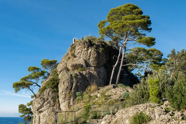 イタリアのリビエラ カモリ リグーリア州 イタリア 晴れた日には断崖や木々が生い茂る風景 — ストック写真