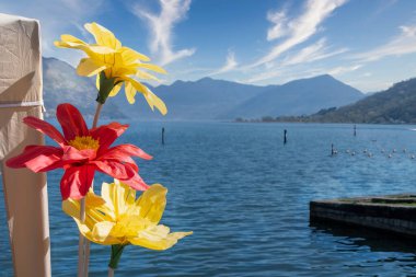 Iseo Gölü 'nün dingin sularına bakan canlı yapay çiçekler Resimli bir dağ ve Lakeside manzarasına karşı İtalya Açık Hava Dekorasyonu