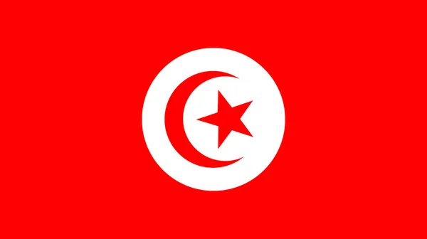 튀니스 튀니스의 디자인 튀니스의 깃발이 디자인 추상적 디자인 튀니스 — 스톡 사진