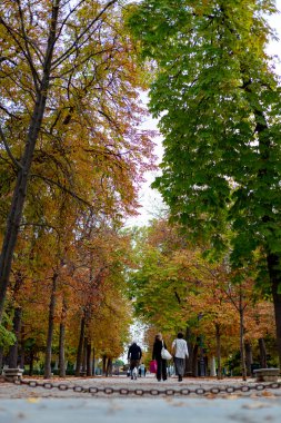 Düş! Madrid 'deki Parque del Retiro' da sonbahar yolu. Ağaçların yaprakları sonbahar renklerinde dallarda ve yerde. İspanya 'da. Fotoğrafçılık. Sonbahar zamanı.