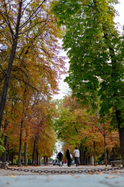 Düş! Madrid 'deki Parque del Retiro' da sonbahar yolu. Ağaçların yaprakları sonbahar renklerinde dallarda ve yerde. İspanya 'da. Fotoğrafçılık. Sonbahar zamanı.