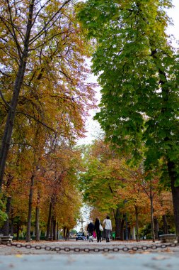 Düş! Madrid 'deki Parque del Retiro' da sonbahar yolu. Ağaçların yaprakları sonbahar renklerinde dallarda ve yerde. İspanya 'da. Fotoğrafçılık. Sonbahar zamanı.