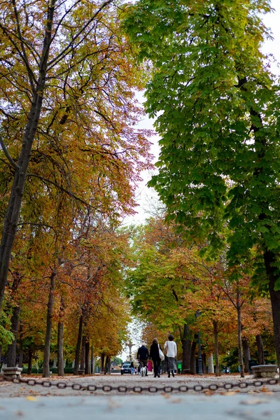 Fall Autumn Path Parque Del Retiro City Madrid Leaves Trees — Stock Photo, Image