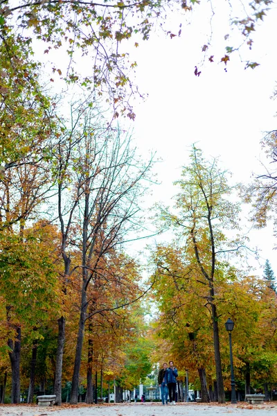 Düş Madrid Deki Parque Del Retiro Sonbahar Yolu Ağaçların Yaprakları — Stok fotoğraf