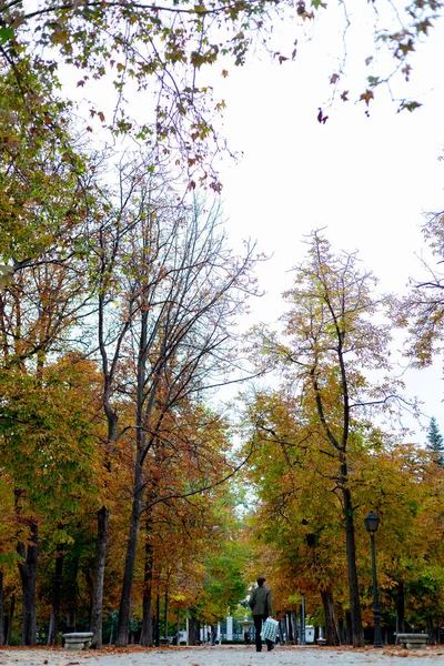 Fall Autumn Path Parque Del Retiro City Madrid Leaves Trees — Stock Photo, Image