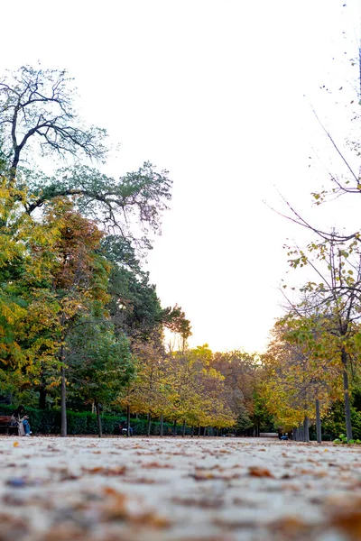Πτώση Φθινοπωρινό Μονοπάτι Στο Parque Del Retiro Στην Πόλη Της — Φωτογραφία Αρχείου