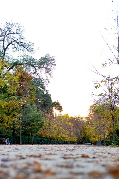 Upadek Jesienna Ścieżka Parque Del Retiro Madrycie Liśćmi Drzew Jesiennych — Zdjęcie stockowe