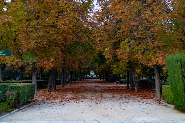 Bukj Őszi Ösvény Parque Del Retiro Város Madrid Levelek Fák — Stock Fotó