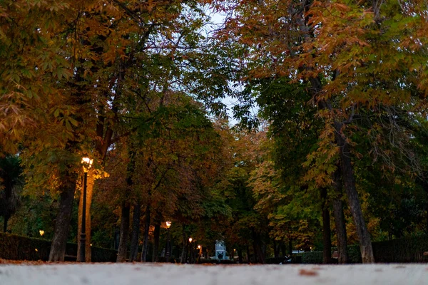 Fall Höststigen Parque Del Retiro Madrid Med Trädens Blad Höstfärger — Stockfoto