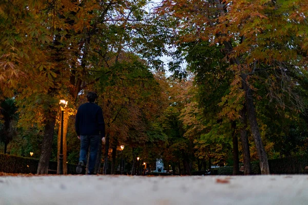 掉下去马德里市退休公园的秋天小径上 树枝上和地面上都挂着秋天的树叶 在西班牙摄影 秋天的时间 — 图库照片