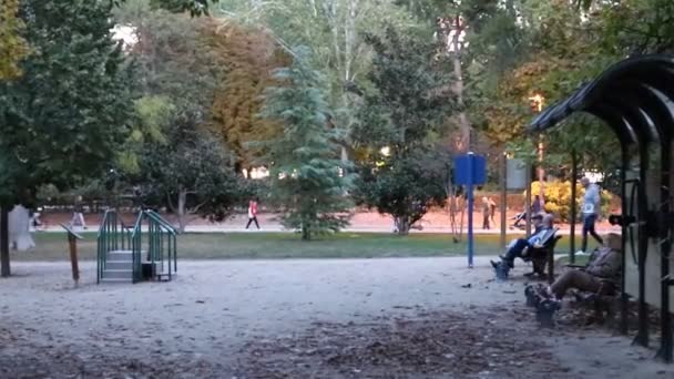 Park Les Gens Marchent Travers Parc Retiro Dans Ville Madrid — Video