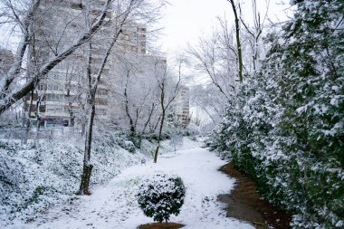 Kar yağıyor. Kış. Sokaklar, sokaktaki tüm elementleri kaplayan beyaz bir kar örtüsüyle kaplı. Soğuk kavram. Kış konsepti 2022 kışı. Fotoğraf:.