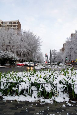 Kar yağıyor. Kış. Sokaklar, sokaktaki tüm elementleri kaplayan beyaz bir kar örtüsüyle kaplı. Soğuk kavram. Kış konsepti 2022 kışı. Fotoğraf:.