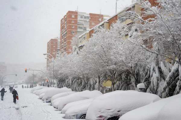 Sníh Winter Ulice Pokryté Bílou Sněhovou Pokrývkou Která Pokrývá Všechny — Stock fotografie