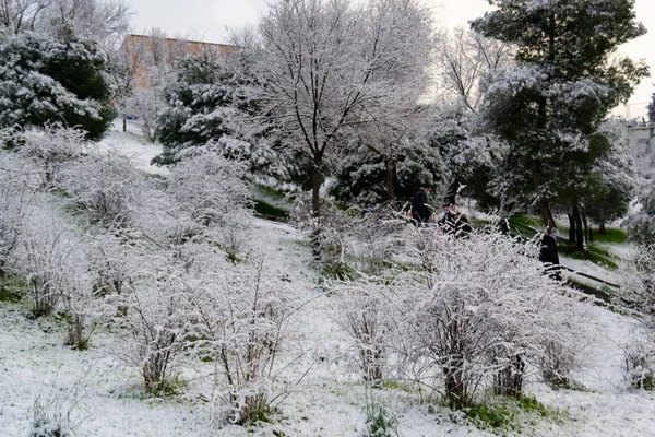Nieve Invierno Calles Cubiertas Una Manta Blanca Nieve Que Cubre — Foto de Stock