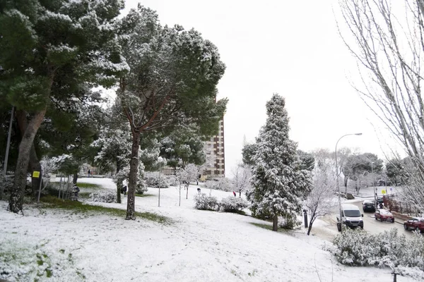 Schnee Winter Die Straßen Sind Mit Einer Weißen Schneedecke Bedeckt — Stockfoto