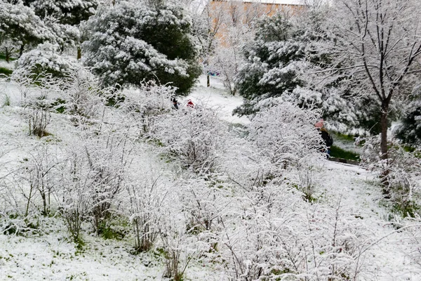 Sníh Winter Ulice Pokryté Bílou Sněhovou Pokrývkou Která Pokrývá Všechny — Stock fotografie