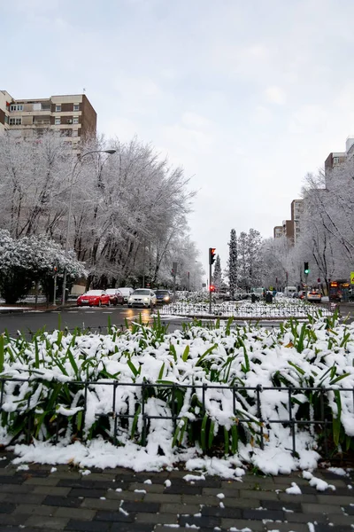 stock image Snow. Winter. Streets covered in a white blanket of snow that covers all the elements that are on the street. Cold concept. Winter concept. Winter 2022. Photography.