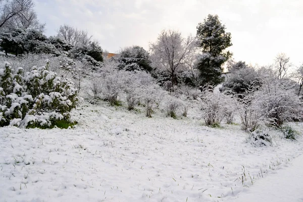 Nieve Invierno Calles Cubiertas Una Manta Blanca Nieve Que Cubre — Foto de Stock