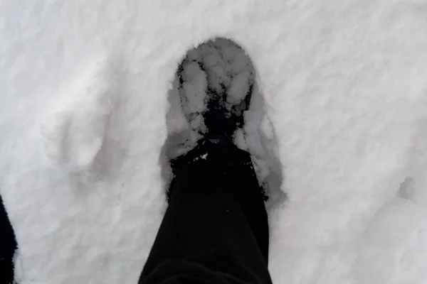 艾略特冰冻的艾略特风暴Gelida折磨艾略特白雪冬天 街道上覆盖着覆盖着街道上所有元素的白色雪毯 冷的概念 冬天的概念美国 — 图库照片