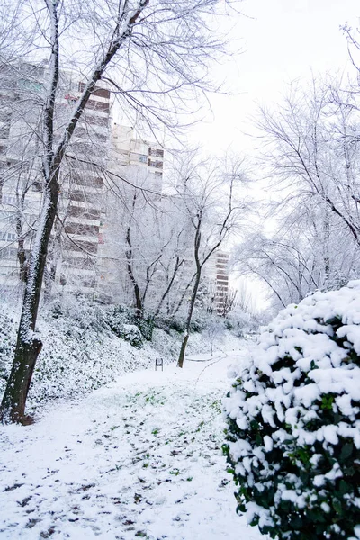 Kar yağıyor. Kış. Sokaklar, sokaktaki tüm elementleri kaplayan beyaz bir kar örtüsüyle kaplı. Soğuk kavram. Kış konsepti 2022 kışı. Fotoğraf:.