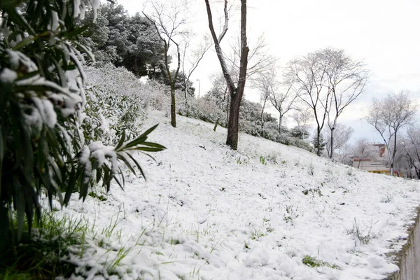 Сніг Зима Вулиці Вкриті Білою Ковдрою Снігу Яка Покриває Всі — стокове фото