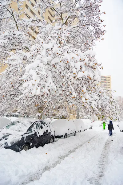 stock image Elliot. Freezing storm Elliot. Gelida tormenta Elliot. Snow. Winter. Streets covered in a white blanket of snow that covers all the elements that are on the street. Cold concept. Winter concept. USA.