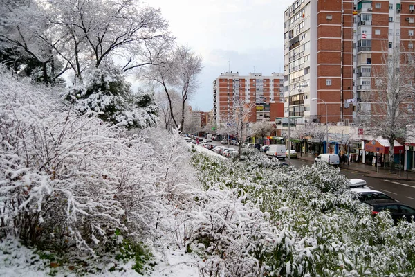 Kar Yağıyor Kış Sokaklar Sokaktaki Tüm Elementleri Kaplayan Beyaz Bir — Stok fotoğraf