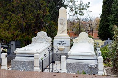 Mezarlık. Cemenetery 'de. Çam ağaçlarının yanında gri ve beyaz mezarlar. Korkunç bir kavram. Ürkütücü bir yer. Madrid, İspanya, Fotoğraf.