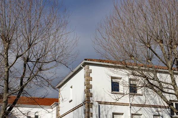 Building. White colored building next to some bare and leafless trees in the surroundings. Building corner.